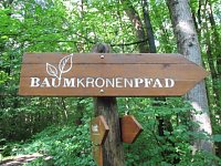 Bild: LISA auf dem Baumkronenpfad