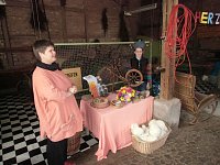 Bild: Wollfest in Ilfeld
