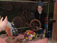 Bild: Wollfest in Ilfeld