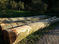Bild: Spuren hinterlassen