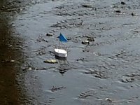 In der Zorge entdeckt Bild: In der Zorge entdeckt