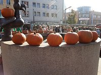 Bild: Der etwas andere Markt
