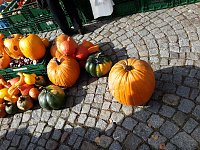 Bild: K&uuml;rbisse und Zwiebeln