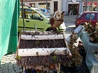 Bild: K&uuml;rbisse und Zwiebeln