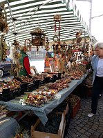 Bild: K&uuml;rbisse und Zwiebeln