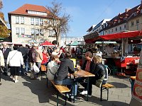 Bild: K&uuml;rbisse und Zwiebeln
