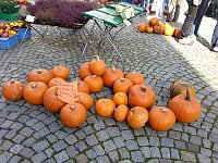 Bild: K&uuml;rbisse und Zwiebeln