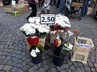 Bild: K&uuml;rbisse und Zwiebeln