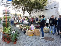 Bild: K&uuml;rbisse und Zwiebeln
