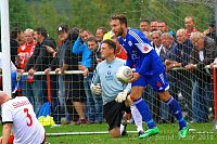 Bild: Acht Tore im Elstertal