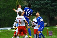 Bild: Acht Tore im Elstertal