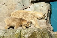 Bild: Besuch im Zoo am Meer