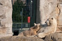 Bild: Besuch im Zoo am Meer
