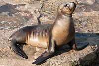 Bild: Besuch im Zoo am Meer