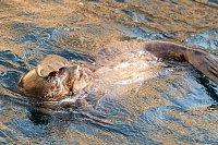 Bild: Besuch im Zoo am Meer
