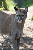 Bild: Besuch im Zoo am Meer