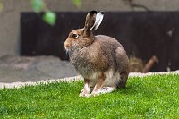 Bild: Besuch im Zoo am Meer