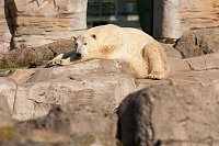 Bild: Besuch im Zoo am Meer