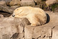 Bild: Besuch im Zoo am Meer