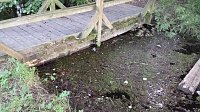 Bild: Rund um die Salza-Quelle