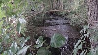 Bild: Rund um die Salza-Quelle