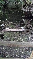 Bild: Rund um die Salza-Quelle