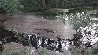 Bild: Rund um die Salza-Quelle