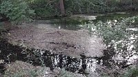 Bild: Rund um die Salza-Quelle