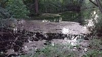 Bild: Rund um die Salza-Quelle