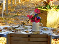 Bild: Zum Besuch im Hufhaus