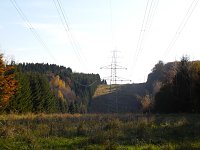 Bild: Zum Besuch im Hufhaus
