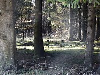 Bild: Zum Besuch im Hufhaus