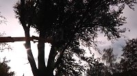 Bild: Mein Freund der Baum
