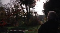 Bild: Mein Freund der Baum