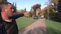 Bild: Mein Freund der Baum