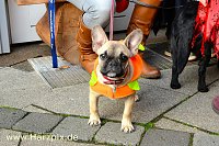Bild: Gruselspass in der Altstadt