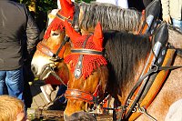 Bild: 157. Kirmes in W&uuml;lfingerode
