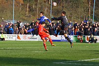 Bild: 4:0-Sieg gegen Union Berlin II