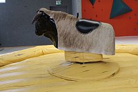 Bild: Aus Tr&auml;umen wird Wirklichkeit