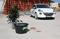 Bild: Umparken in Sondershausen