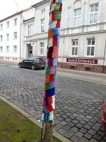 Bild: Die Apotheke am Theater versucht sich im "Urban Knitting" und packt ihre B&auml;ume warm ein