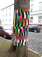 Bild: Die Apotheke am Theater versucht sich im "Urban Knitting" und packt ihre B&auml;ume warm ein