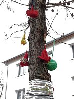 Bild: Die Apotheke am Theater versucht sich im "Urban Knitting" und packt ihre B&auml;ume warm ein