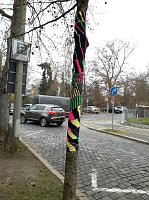 Bild: Die Apotheke am Theater versucht sich im "Urban Knitting" und packt ihre B&auml;ume warm ein