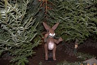 Bild: Weihnachtsmarkt in Leipzig