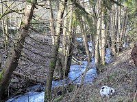 Bild: Myteri&ouml;ser Ort im Harz