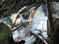 Bild: Myteri&ouml;ser Ort im Harz