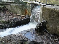 Bild: Myteri&ouml;ser Ort im Harz