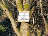 Bild: Myteri&ouml;ser Ort im Harz
