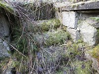 Bild: Myteri&ouml;ser Ort im Harz